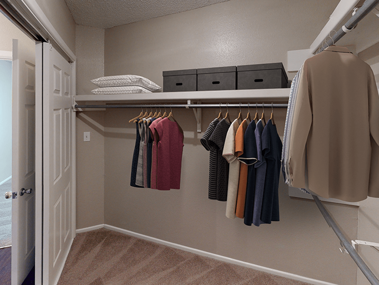 Apartment with Walk-In Closet